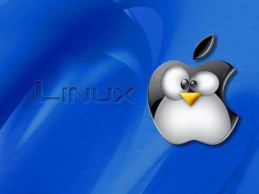 381962 (a): :1024x768